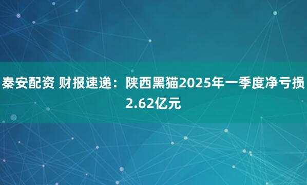 秦安配资 财报速递：陕西黑猫2025年一季度净亏损2.62亿元