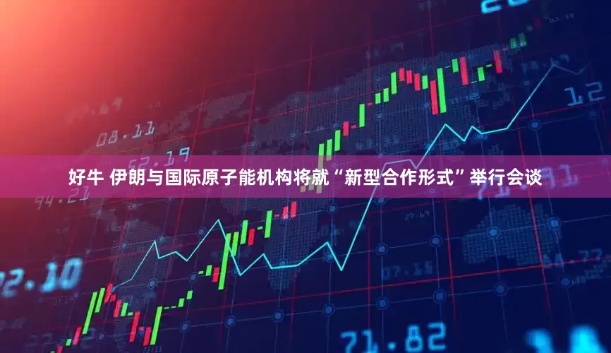 好牛 伊朗与国际原子能机构将就“新型合作形式”举行会谈