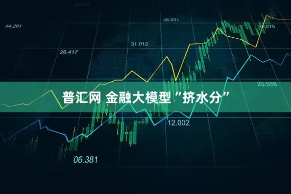 普汇网 金融大模型“挤水分”